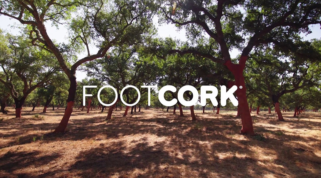 Footcork - Amorim - LOBA.cx